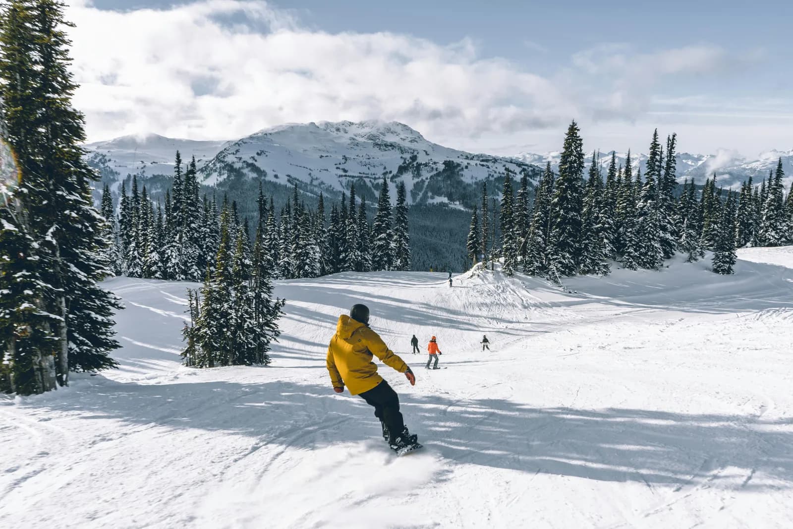Esquiador bajando entre abetos nevados en una pista vacía